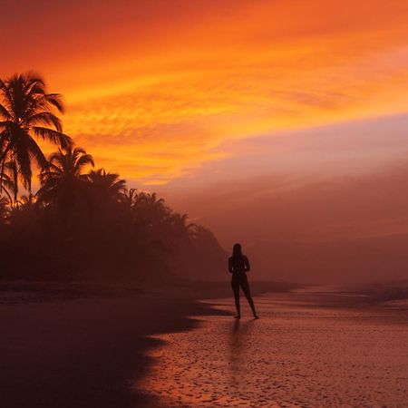 Bohemia Beach Guachaca Dış mekan fotoğraf